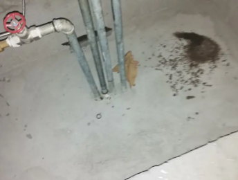 高阳县卫生间测漏水价格明细